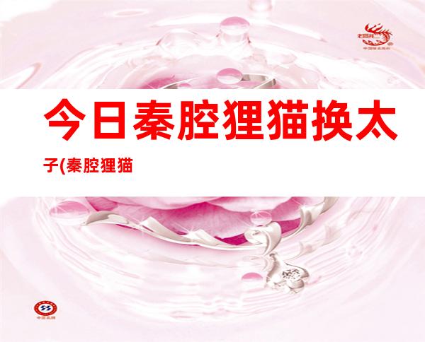 今日秦腔貍貓換太子(秦腔貍貓換太子本唱詞)