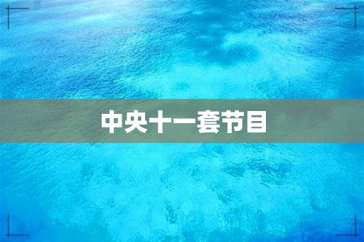 中央十一套節目 第1張