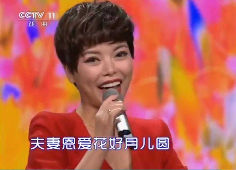 馬蘭20歲唱黃梅戲_唱黃梅戲馬蘭多大歲數(shù)了_黃梅戲100首選段馬蘭演唱