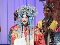 新鳳霞評(píng)劇選段大全乾坤帶(我想聽新鳳霞唱的評(píng)劇乾坤帶全集)