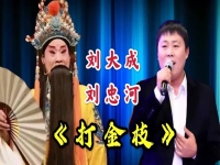 豫劇打金枝演員表全部(豫劇打金枝演員表全部圖片)