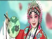 秦腔折子戲表花(秦腔戲大全折子戲)