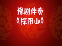 豫劇音樂伴奏(豫劇音樂伴奏的特點)