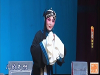 河北梆子墻頭記全集(河北梆子墻頭記全集二團演出)