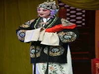 孫紅麗蘆花晉劇唱段(晉劇蘆花孫紅麗郭競(jìng)聰)
