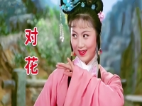 黃梅戲對花廣場舞(黃梅戲對花廣場舞隊形)