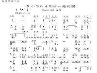 廬劇單小侉大全(廬劇單小侉歷史簡介)