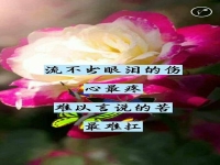 曲劇婚姻大事你的委屈我全懂(曲劇婚姻大事你的委屈我全懂原唱)