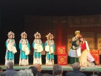 豫劇連本戲少國公(豫劇連本戲少國公第一本)