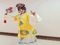 老年人戲曲大全(老年人愛聽的戲曲大全)