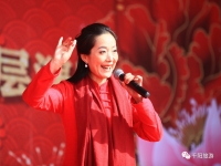 秦腔打金枝大拜壽唱詞(秦腔打金枝全本唱詞)