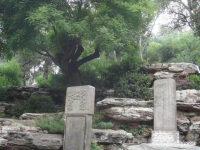 豫劇崇禎吊死煤山全場(豫劇崇禎吊死煤山全場劇情)
