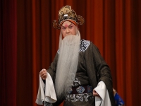 豫劇《陳平打朝》劇情(豫劇陳平打朝全場戲)