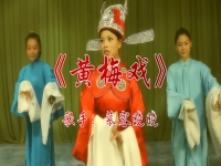 黃梅戲100集大全(黃梅戲大全100集大全)