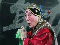 山西晉劇女花臉全部(山西晉劇女花臉全部演員)