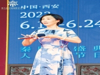 秦腔二進宮趙陽武(秦腔二進宮全折視頻)