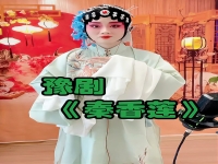豫劇秦香蓮包公唱段(豫劇電影包青天秦香蓮全場戲張寶英)