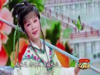 紅樓夢越劇葬花(紅樓夢越劇葬花經典唱段)