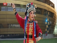 豫劇花木蘭賞析(豫劇名段欣賞花木蘭)