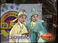 黃梅戲梁祝望你望到谷登場(chǎng)(黃梅戲梁祝望你望到谷登場(chǎng)唱詞)