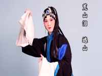 張火丁唱京劇荒山淚(張火丁唱京劇荒山淚譙樓上)