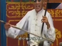 胡中花墜子書大全mp3(胡中花墜子書大全長篇視頻)