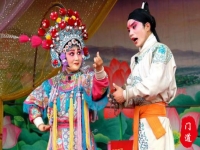 豫劇與山東梆子(豫劇與山東梆子的關系)