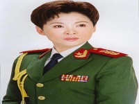 董文華演唱的豫劇劉墉下南京的簡單介紹
