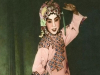 豫劇柳蘭芳簡(jiǎn)介(豫劇表演藝術(shù)家柳蘭芳)