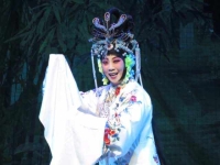 評劇謝瑤環全劇(評劇謝瑤環全劇花淑蘭主演)