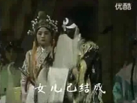 豫劇回龍傳續集第四部(豫劇回龍傳續集第四部劇情介紹)