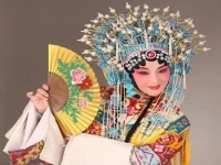 秦腔張小琴簡介(秦腔張小琴簡介圖片)