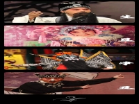 京劇有什么種類(京劇都有哪些種類)