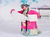 京劇詩文會經典唱段(京劇詩文會經典唱段有哪些)