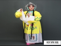 京劇服裝女性(京劇演出服裝女士)
