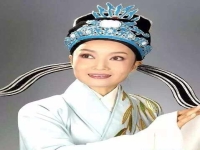 廖琪瑛越劇演員(越劇廖新斌個(gè)人資料)