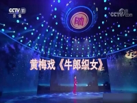 黃梅戲視頻大全100首的簡單介紹