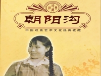 豫劇朝陽溝魏云(豫劇朝陽溝魏云唱)