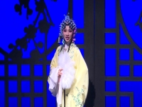 合肥廬劇盛小五(合肥廬劇盛小五看像)