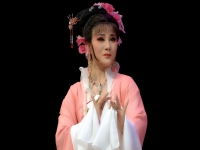 徐標(biāo)新越劇專場(chǎng)(越劇徐標(biāo)新全部名段mp3)