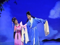 黃梅戲龍女(黃梅戲龍女全集播放)