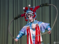 京劇扈家莊視頻(京劇扈家莊閆虹羽)