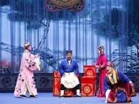 呂劇趙秀敏演唱集錦(呂劇趙秀敏個人演唱會)