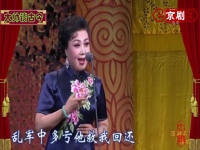 京劇演員王蓉蓉(京劇演員王蓉蓉的簡歷)