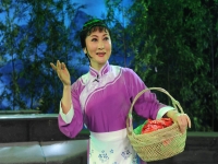 淮劇恩仇記全場(chǎng)視頻(淮劇恩仇記全場(chǎng)省淮版)