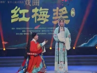 河南豫劇的價值和意義(河南豫劇的價值和意義簡介)