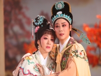 有關(guān)戲曲的視頻(有關(guān)戲曲的視頻素材)