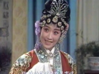 評劇花木蘭選段(評劇花木蘭選段陣前的花將軍簡譜)