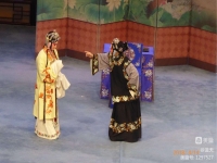評劇孔雀東南飛(評劇孔雀東南飛全劇王冠麗主演)