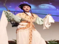 越劇紅樓夢葬花歌詞(越劇紅樓夢葬花歌詞鳥落地)